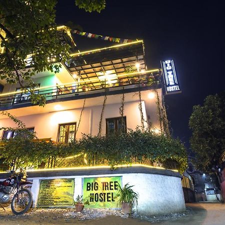 Big Tree Hostel Catmandu Exterior foto